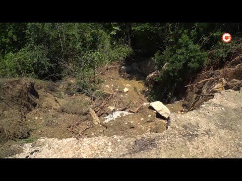� �������� �������� ���� ����������� ��������� ������� ���� (�����)