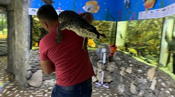 ��������� ��������� �������������� ������� � ���������� �� ����� ������
