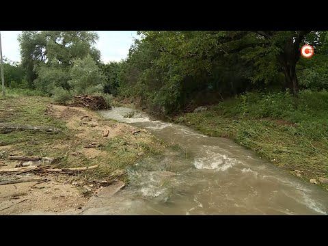 � ���������� ������� ����������� ����������� ����������� ������ (�����)