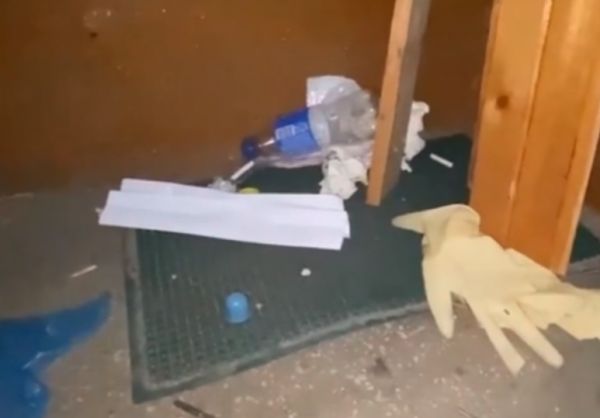 �� �� �������� �������������� �������� ����� �������� ��������