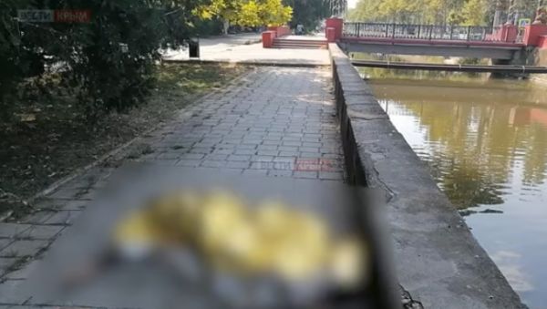 � ����� ������ ������ �������