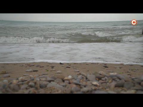 ���� ��������-1�: ������������� ������� � ����������, ������ ����� � ���� (�����)