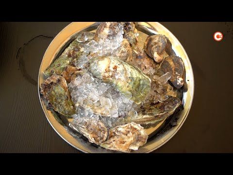 �� �������� �������-��������� ����� � ����� ����� �������� ������� �������� ������ (�����)