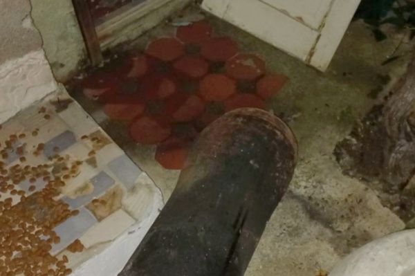 � ������� ���� � ������ ��������� ������� ������