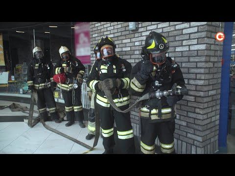 ���������� �� ��� �� ����������� ������� �������-����������� ������ � �� �������� (�����)