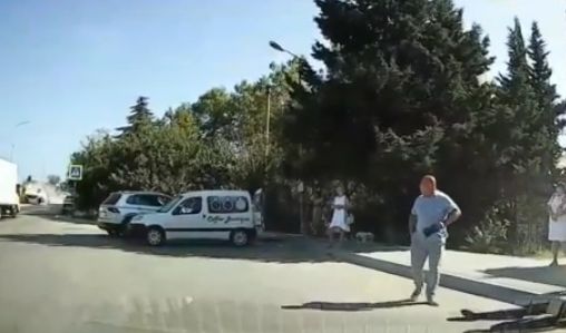 � ����������� ������������ ����������