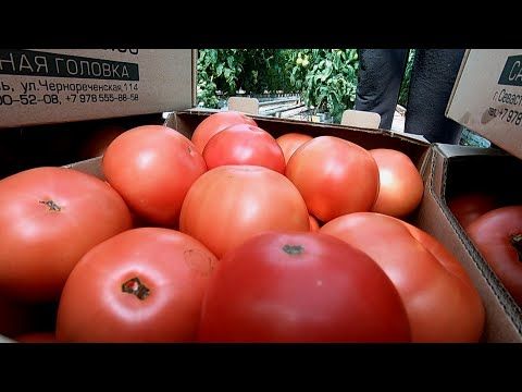 � ��������������� �������� �������� ������ ��������� (�����)