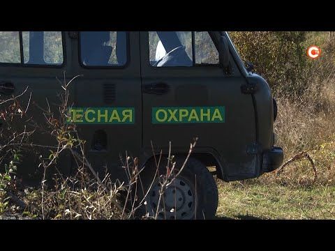 � ���� ������ ������������ �������� �� ����� ��������� ���������� ������������� �������� (�����)