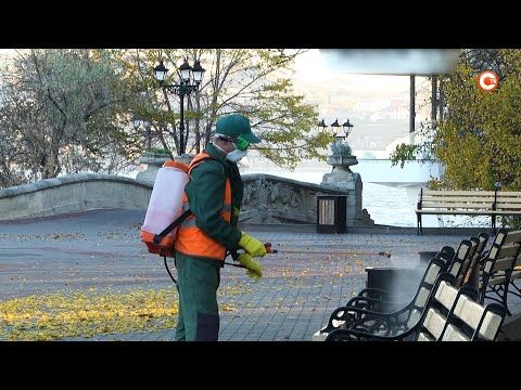 � ����������� ������������ ����������� ������������ ����������� � ���������� (�����)