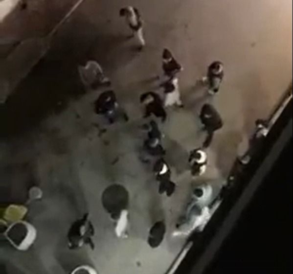 �������� ����� � �����������: ��� �������� ����������
