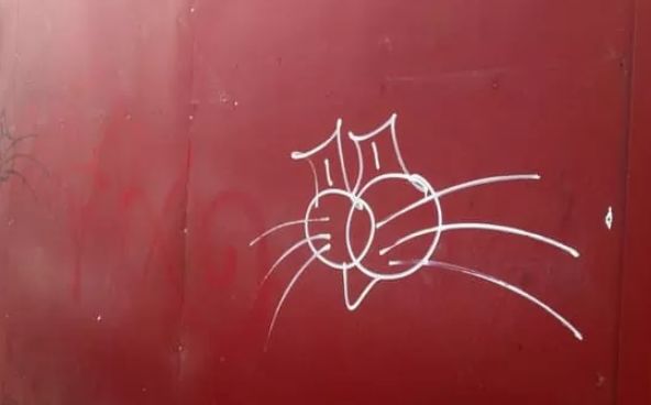 � ����������� ����������� ������ ��������
