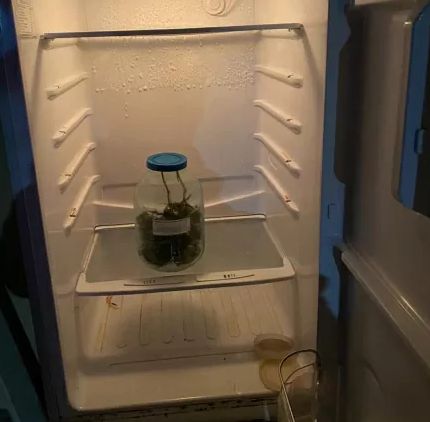 ������� ������ ������� � ������������