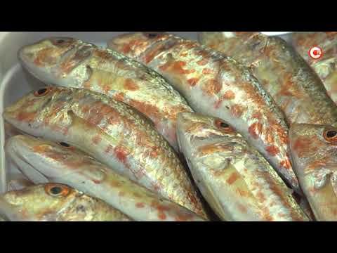 �������������� ����������� ����������� ������ ������ �� ���� ��������� ��� ������� ������ (�����)