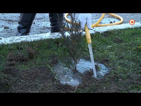 �� ���������� ��������� �������� ����� ����� �������� ����� ��� �������� (�����)