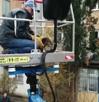 ��������� ������������� ������ ����, ������������ �� �������