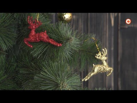 � ����������� �������� ������� �� ������ ���������� ���������� ����������� �������� (�����)