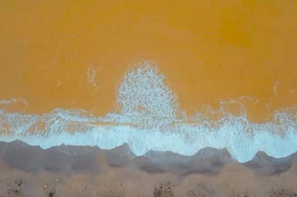���� � ��������� ���������� � ��������� ����