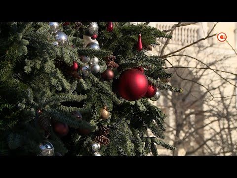 � ����������� ������� ����� �������� �� ������ ���������� ����������� ���������������� ����� (�����)