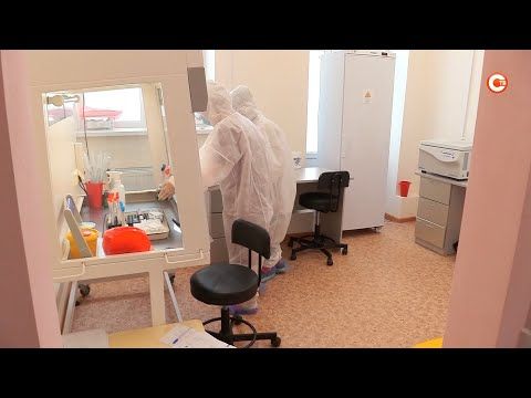 ����� ������������ ��������� ������������ ���������������� �� ���� ������ (�����)