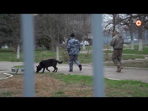 ������� ��������� ����� � ����������� ���������� ������� ����������� � ����������� (�����)