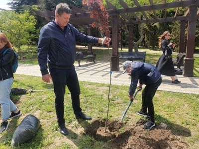 � ����������� ������ �������� ����� � ������ � �������� � ���� ������� ������������� �����