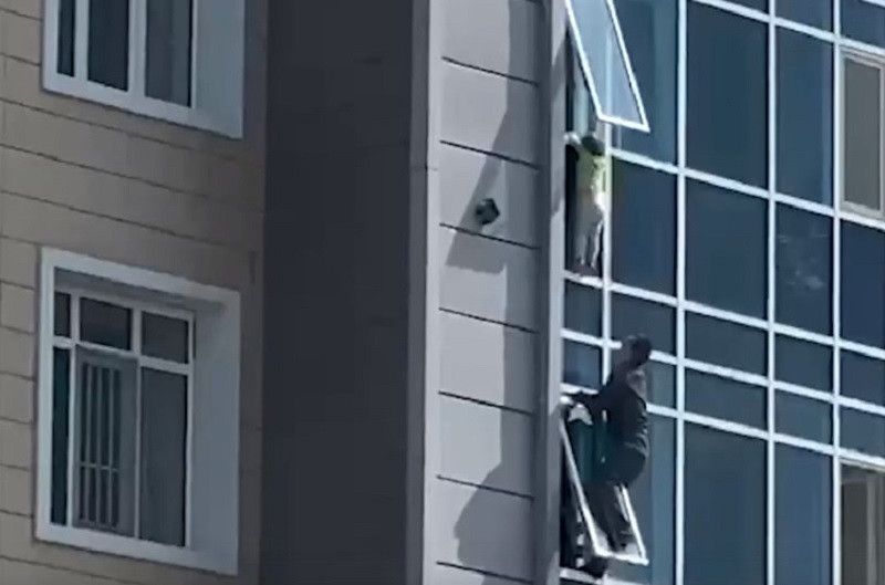������� ����� �� ���� �� 8 �����, ����� ������ ������