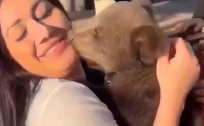 �������� ���������� �������� � ���� ������� �� �����������