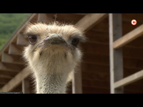 ���������� ����� � �����������: ������ �� ��������� ������������ �����?
