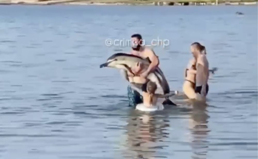 � ����� ����� ������� ��������� ��� ���������