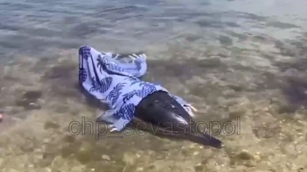 � ����������� ������� ������� �������� ���� � �����������