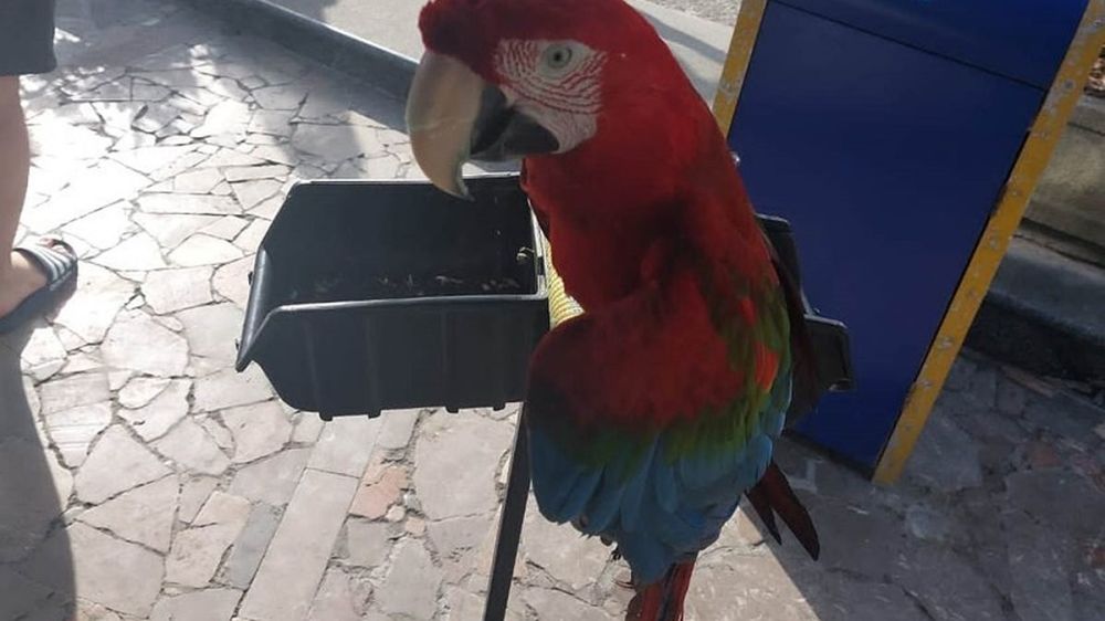 � ����� � ������� ���������� �������� ��������