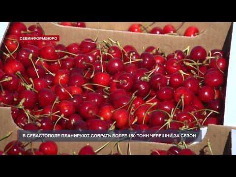 � ����������� ��������� ������� ����� 150 ���� ������� �� �����
