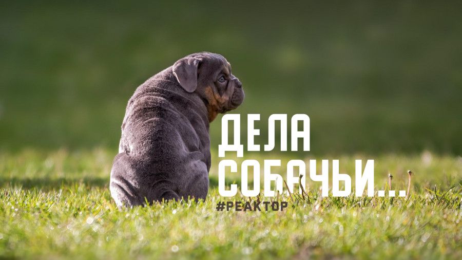 ��� ������ �������������� ������� �� ������ ��������� � ForPost ��������