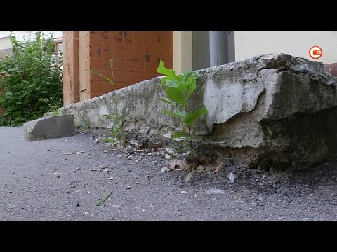 ������������� ������ ��������� ������ ���������� ���������� �� ����� ��������� � ��������