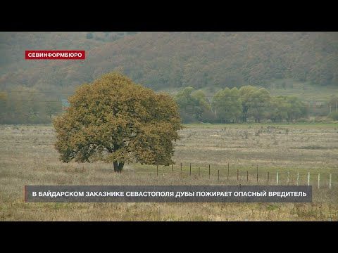 74 �� ����������� ��������� � ����������� �� ���������: ���� �������� ������� ���������