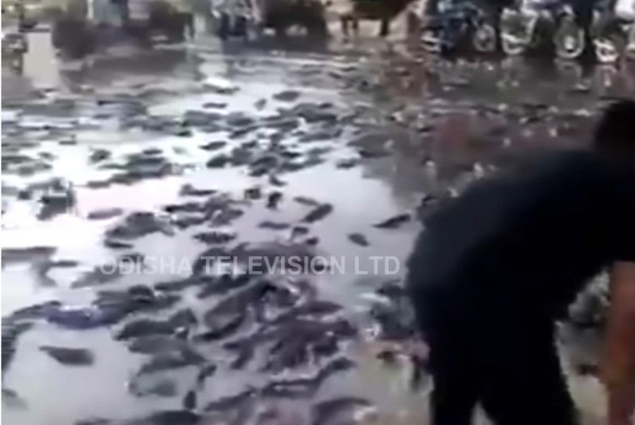����� �� ��� ������ � ��������� ������� �������