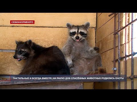�� ����� ��� �������� �������� ��������� ������ ��������� ��� ������ ������