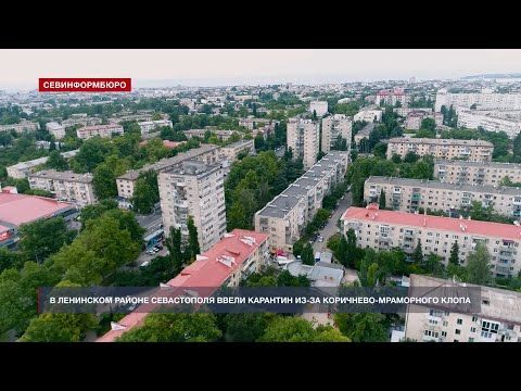 � ��������� ������ ����������� ����� �������� ��-�� ���������-���������� �����