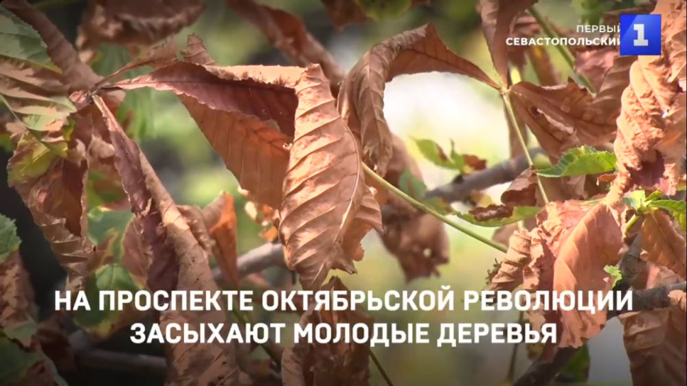�� ��������� ����������� ��������� �������� ������� �������