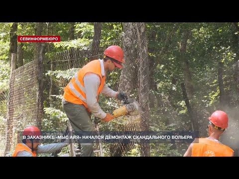 � ��������������� ��������� ���� ���� ������� �������� ������������ �������