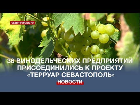 � 3,5 ���� ����������� ����� ���������� ������� �������� ������������ �� ������ ����