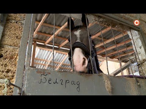 � ����������� ���������� �������� ���������� �������������������� ��������