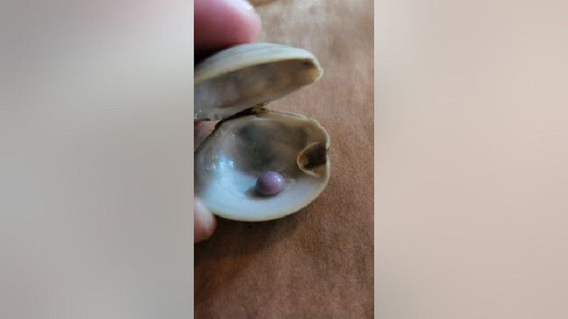 �� ����� �������� ������������� ������� �������� ��������� �������