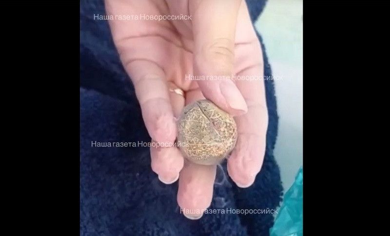 ��������� ��� �� ��� ׸����� ���� ��������� � ����� ��������