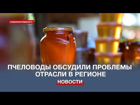 ��������� � ������������ ����������� �������� �������� ������� � �������