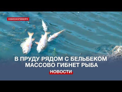 � ����� ����� � ����������� ����������� ������� ������ ����
