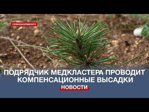 ����� 12 ����� ������������� �������� � ����������� �������� � �����������