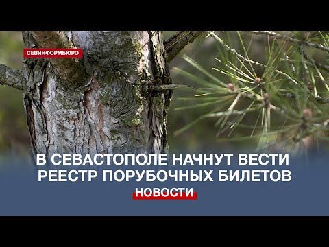� ����������� ������ ����� ������ �������� ���������� �������