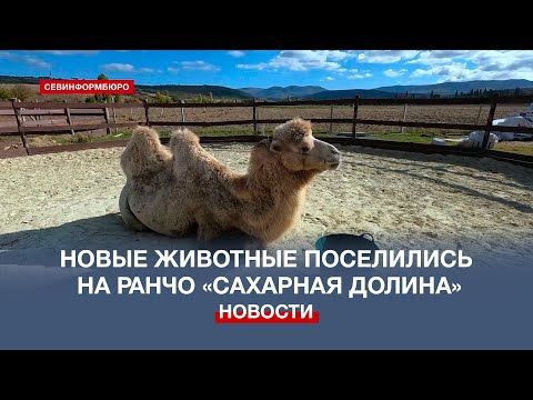 ����� ������� ��������� �� ����� ��� �������� �������� � �����������