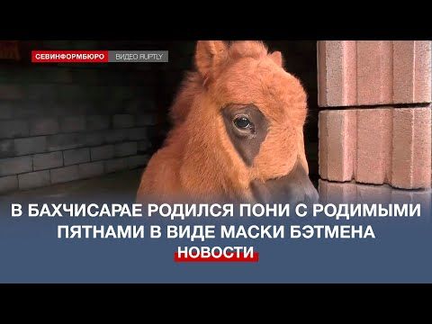 � ���������� ������� ���� � �������� ������� � ���� ����� �������